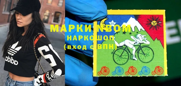 молекула духа Балахна