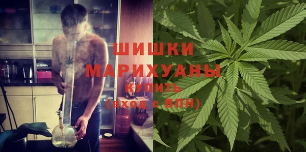 молекула духа Балахна