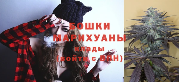 молекула духа Балахна
