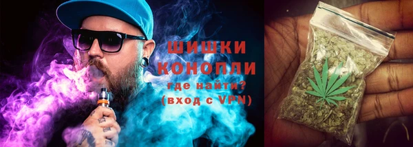 молекула духа Балахна